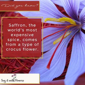 Image post by @sayitwithflowerspk on Facebook