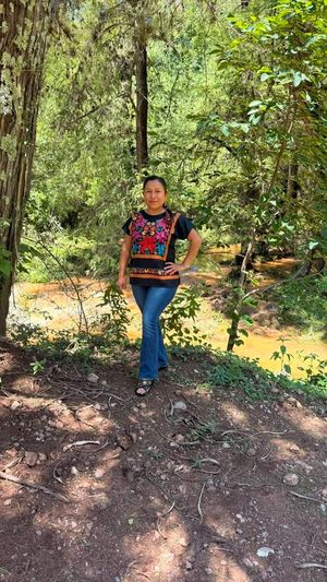 Image post by @divis_oaxaquena on Instagram
