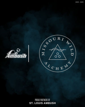 Image post by @stlouisambush on Instagram