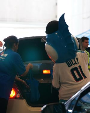 Image post by @marlinsimpact on Instagram