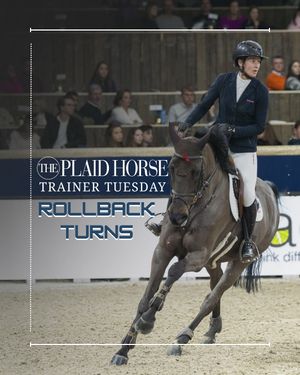Image post by @theplaidhorsemag on Instagram