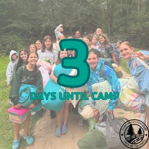 Image post by @campmatollionequay on Instagram