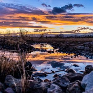 Image post by @uchealth on Instagram