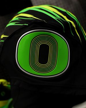 Image post by @goducks on Instagram