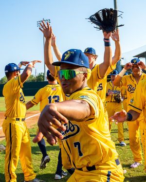 Image post by @thesavbananas on Instagram