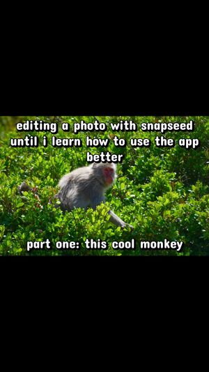 Video post by @photographerjojo on TikTok
