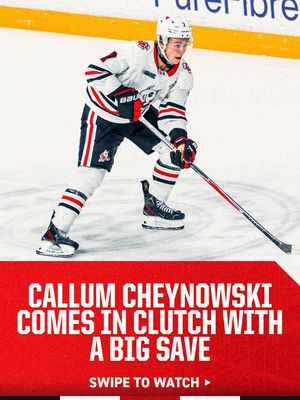 Image post by @ohlicedogs on Instagram