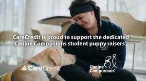 Image post by @canineorg on Instagram
