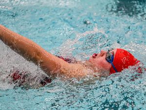 Image post by @spiderswimdive on Instagram