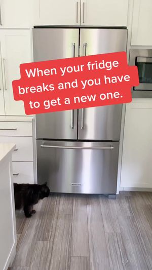 Video post by @livinglocurto on TikTok