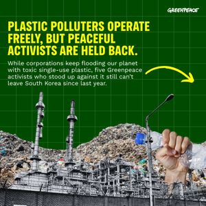 Image post by @greenpeace on Instagram