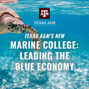 Image post by @TAMU on Twitter