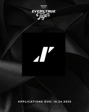Image post by @everytruetiger on Instagram