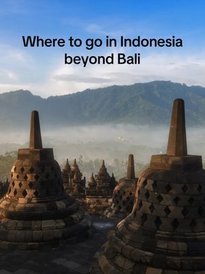 Video post by @condenasttraveler on TikTok