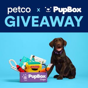 Image post by @petco on Instagram