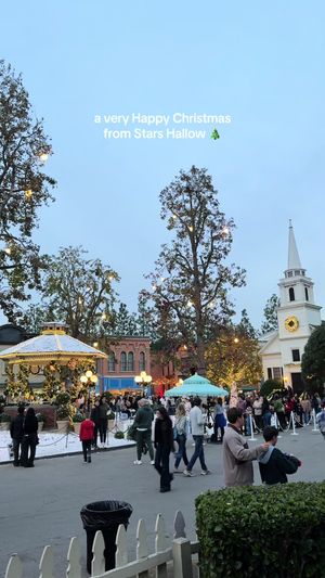 Video post by @michelleknutson on TikTok