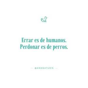 Image post by @amanaturis on Instagram