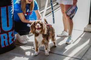 Image post by @depaulwsoc on Instagram