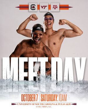 Image post by @hokiesswimdive on Instagram