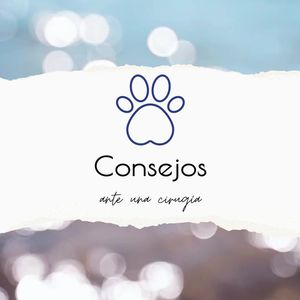 Image post by @vetconejero on Instagram