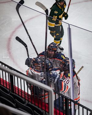 Image post by @meelan_media on Instagram