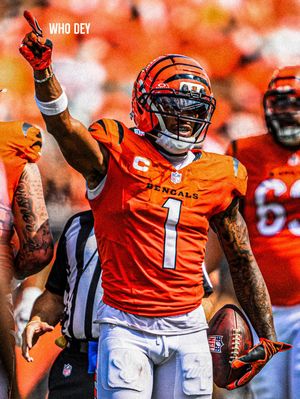 Image post by @bengals on Instagram
