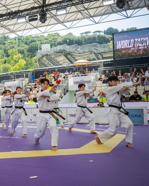 Image post by @worldtaekwondo on Instagram