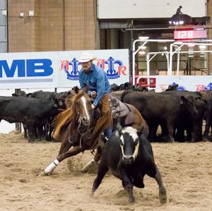 Image post by @american_royal on Instagram