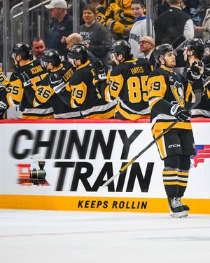 Image post by @penguins on Instagram