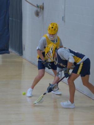 Image post by @smcmmlax on Instagram