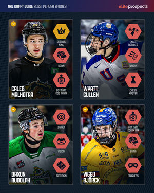 Image post by @eliteprospectshockey on Instagram