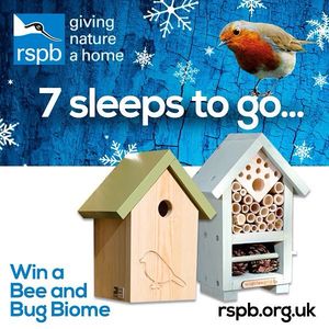 Image post by @rspb on Instagram