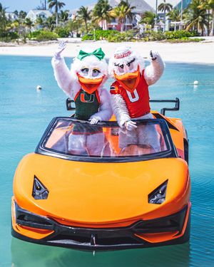 Image post by @um_sebastian on Instagram