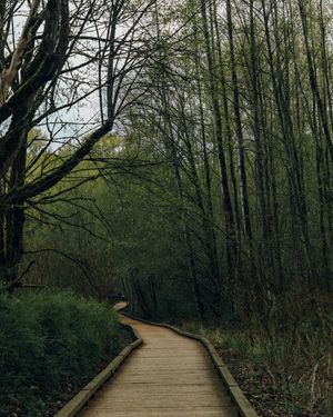 Image post by @takenbykathleen on Instagram