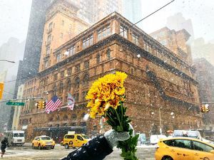 Image post by @carnegiehall on Instagram