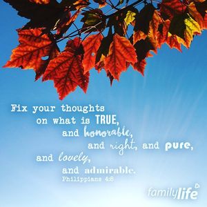 Image post by @familylifenypa on Instagram