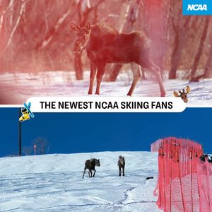 Image post by @ncaa on Instagram
