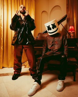 Image post by @marshmello on Instagram