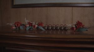 Image post by @SafeandWildPhoto on Facebook