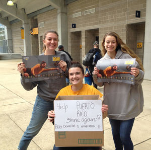 Image post by @towsontigersvb on Instagram