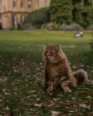 Image post by @oxford_uni on Instagram
