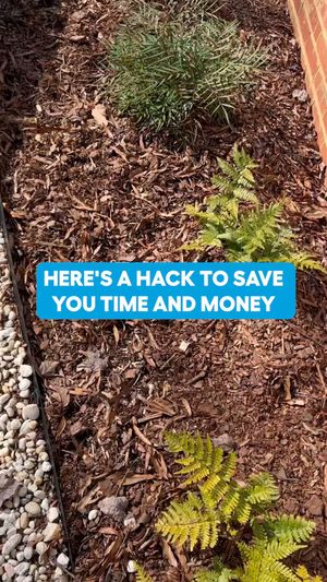 Video post by @lowes on Facebook