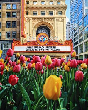 Image post by @chicago.explore on Instagram