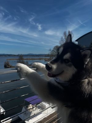 Image post by @dubs_uw on Instagram