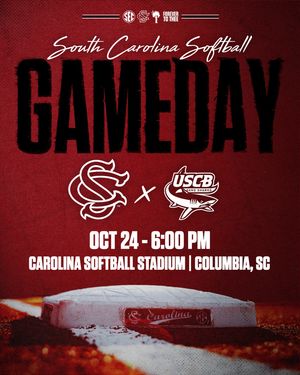 Image post by @gamecocksoftball on Instagram