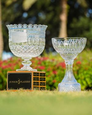 Image post by @ajgagolf on Instagram