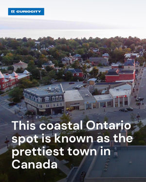 Image post by @curiocitytoronto on Instagram