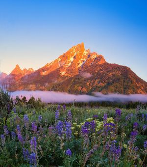 Image post by @nationalparkscollective on Instagram