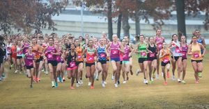 Image post by @runninglane on Instagram