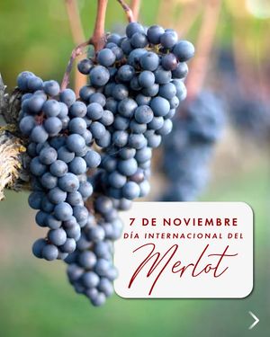 Image post by @riedelpartner_vnzla on Instagram